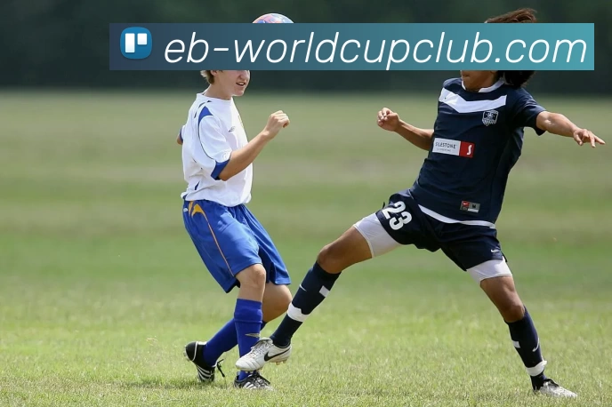 世界杯在线投注发展历程